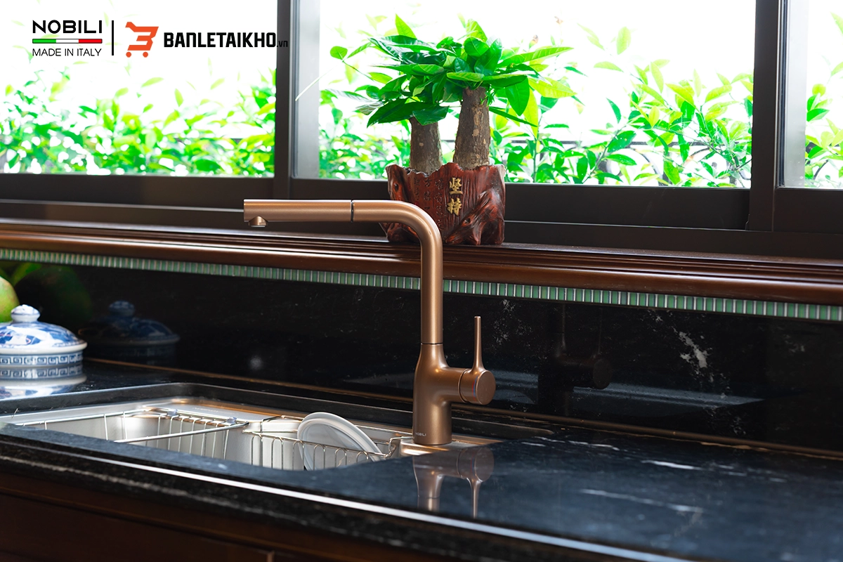 Thông Tin Về Sản Phẩm Vòi Rửa Bát MANIA NB217B