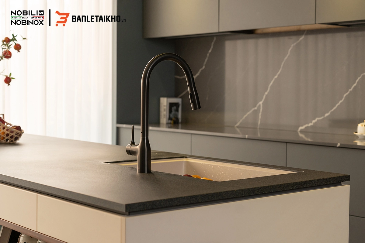 Thông Tin Về Sản Phẩm Vòi Rửa Bát MANIA NB308G