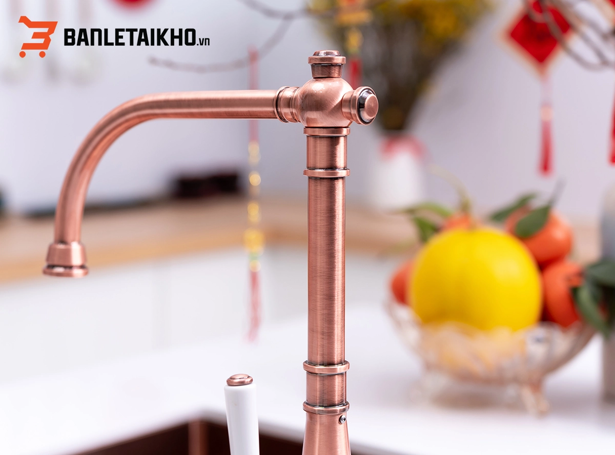 Ưu Điểm Của Sản Phẩm Vòi Rửa Bát Tân Cổ Điển CHARLIE NB255C